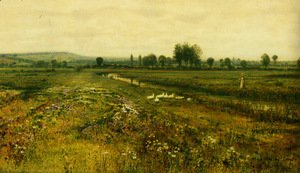 An Extensive Meadow Landscape with Geese by a Stream