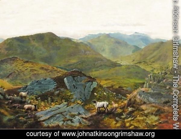 Landscape In The Lake District 2